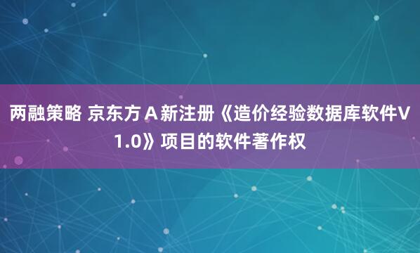 两融策略 京东方Ａ新注册《造价经验数据库软件V1.0》项目的软件著作权