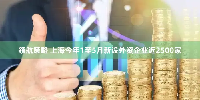 领航策略 上海今年1至5月新设外资企业近2500家