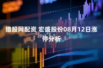猎股网配资 宏盛股份08月12日涨停分析