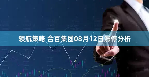 领航策略 合百集团08月12日涨停分析